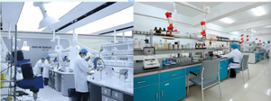 N-Cbz-L-Proline (2S)-1-[(Benzyloxy)Carbonyl]Pyrrolidine-2-Carboxylic Acid CAS 1148-11-4 Purezza 98% Cristalli Bianchi Opachi - Product Image 5
