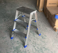 Échelle pliante en aluminium épaisse moderne à 2 marches, antidérapante, isolante, capacité de charge de 150 kg pour les escaliers intérieurs, les salles de bain, les supermarchés