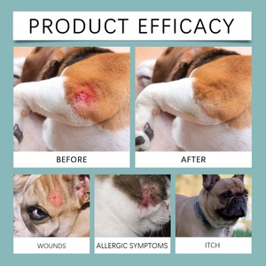 Label privé réparation de l'inflammation de la peau des animaux de compagnie <span class=keywords><strong>Spray</strong></span> d'aide à la guérison rapide des plaies pour chiens soulage les démangeaisons et l'irritation de la peau - Product Image 5
