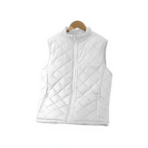 Chaleco Acolchado con Capucha, Sin Mangas, con Logotipo Frontal, Relleno de Plumón, para Invierno, Uso Casual al Aire Libre - Product Image 1