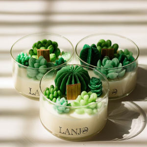 LANJO Custom Cactus Succulent Garden Soy Wax Handmade Cactus Scented <b>Candle</b>-Organic Thanksgiving Christmas Home Decor - Product Image 3