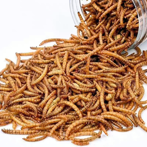 Preservativ miễn phí Hữu Cơ protein cao mealworms lâu dài Dinh Dưỡng & thuận tiện xử lý cho cá với vitamin & khoáng chất - Product Image 1
