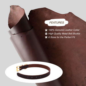 Eavy duty-<span class=keywords><strong>collar</strong></span> de perro con hebilla de cuero genuino, accesorio con logotipo personalizado para Centro Comercial edium ARGE OGS uppy at Itten - Product Image 3