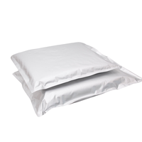 Absorbeur d'oxygène de 2 gallons, extra épais, imprimé en héliogravure, résistant à l'humidité, pour sacs en aluminium, pour le stockage de pizzas, de croustilles et de sucre