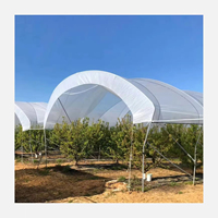Struktur Penahan Hujan Tiang Y Galvanis untuk Rumah Kaca Blueberry