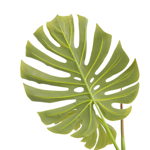 120cm Artificielle Monstera Deliciosa Plante Tortue Feuilles Faux Fromage <span class=keywords><strong>Suisse</strong></span> Plante <span class=keywords><strong>Plantes</strong></span> <span class=keywords><strong>D</strong></span>'<span class=keywords><strong>intérieur</strong></span> en Pot pour La <span class=keywords><strong>D</strong></span>écoration Intérieure - Product Image 3