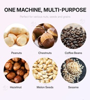 Multifunctionele elektrische gasautomatische snack-rooster voor cashewnoten, pinda's, maïs, tarwe en zonnebloempitten