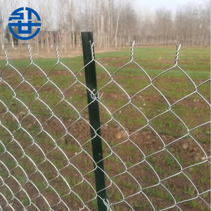 Clôture <span class=keywords><strong>de</strong></span> jardin en acier galvanisé à prix avantageux, revêtement PVC, écologique, anti-rongeurs / Clôture <span class=keywords><strong>de</strong></span> <span class=keywords><strong>chantier</strong></span> en treillis métallique - Product Image 3