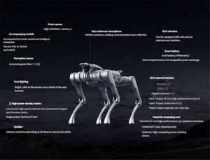 Robot chien industriel intelligent et robuste Unitree avec arrêt d'urgence pour la surveillance en usine et les opérations techniques en extérieur - Product Image 3