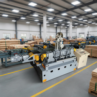 Machine à décapage de placage de haute précision pour la production de contreplaqué, décappeuse de bois rotative, moteur servo, dégauchisseuse de bois
