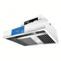 Hotte d'extraction murale ventilée en acier inoxydable pour cuisine de restaurant, faible bruit, haute efficacité, extraction d'huile
