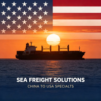 Fret maritime Matson Premium (LCL+Express) avec DDP et dédouanement pour expédition FBA rapide (15-25 jours de transit)