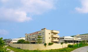 Stahl-Taili-Lederwarenfabrik Vertikale Industrielle Leder-Streckmaschine - Product Image 5