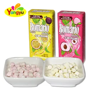 großhandel hohe qualität benutzerdefinierte minz-süßigkeiten mit schiebe-blech frische zuckerfreie mints