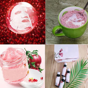 Solubile in acqua succo di melograno in polvere di melograno in polvere istantanea bevanda di frutta aromatizzata melograno in polvere per la bevanda - Product Image 3