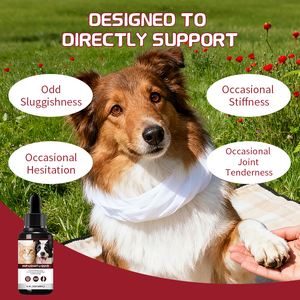 Cairan untuk anjing kucing Hip kesehatan sendi OEM ODM alami Glucosamine kunyit mangan MSM perawatan kesehatan hewan peliharaan tetesan - Product Image 5