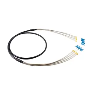 Outdoor FTTA 4core DLC To DLC Singlemode Armored CPRI Cable Fiber Optic Patch Cord