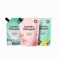 Sachets d'emballage de recharge de lessive en PET/PE, anti-fuite, avec bec verseur et logo personnalisé, pour détergent liquide