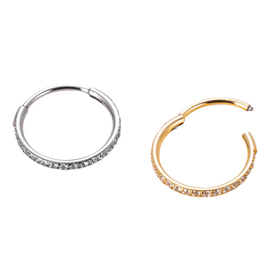 Anneau segmenté à charnière en titane de qualité implantable GZN ASTM F136, 20G, pour piercings de nez, bijoux de corps - Product Image 2