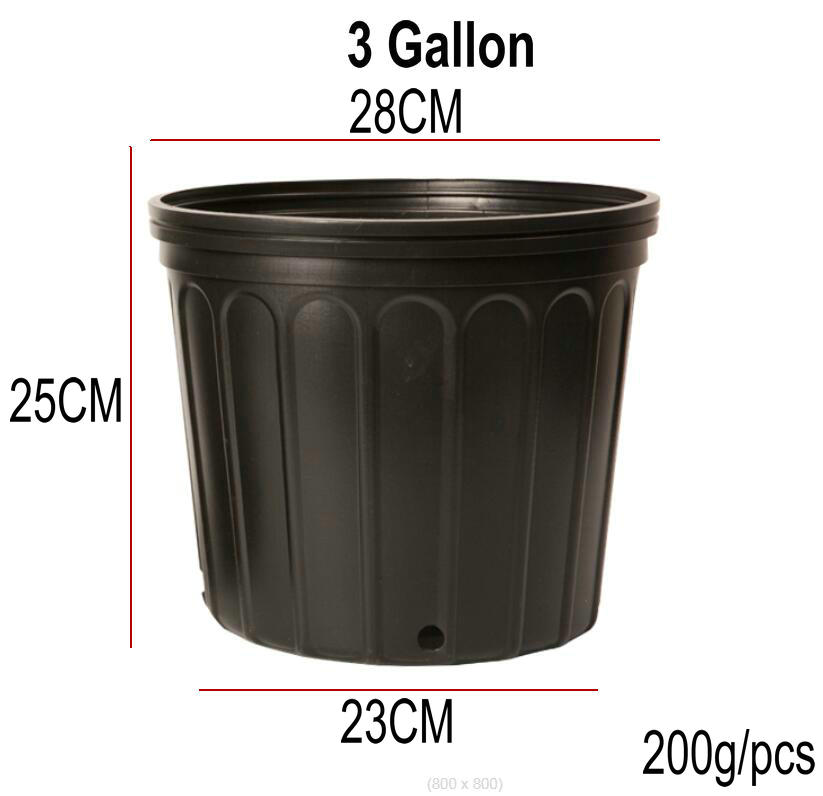 3 gallon