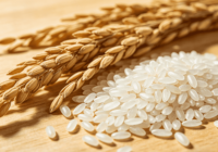 Moulin à riz vertical / Traitement intégré à haut rendement avec faible taux de bris, modèle universel durable pour usage domestique et commercial