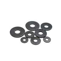 Class Grade 4.8 8.8 10.9 12.9 Carbon Steel Black Oxide Phosphated Large Flat Plain Washer DIN9021