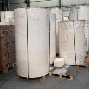 Bobine de fond de gobelet en papier à base de matières premières durables, 150-320 GSM, C1S, enduit PE, impression flexo, largeur personnalisée pour le traitement des fonds de gobelets en papier - Product Image 1