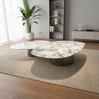Nouvelle table basse en marbre blanc de luxe pour salon, haut de gamme et élégante, adaptée à un usage domestique.