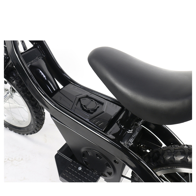 Gyro Self Balancing Electric Bikes Balance Bike Electric Battery Balancer 24v for Electric Bike