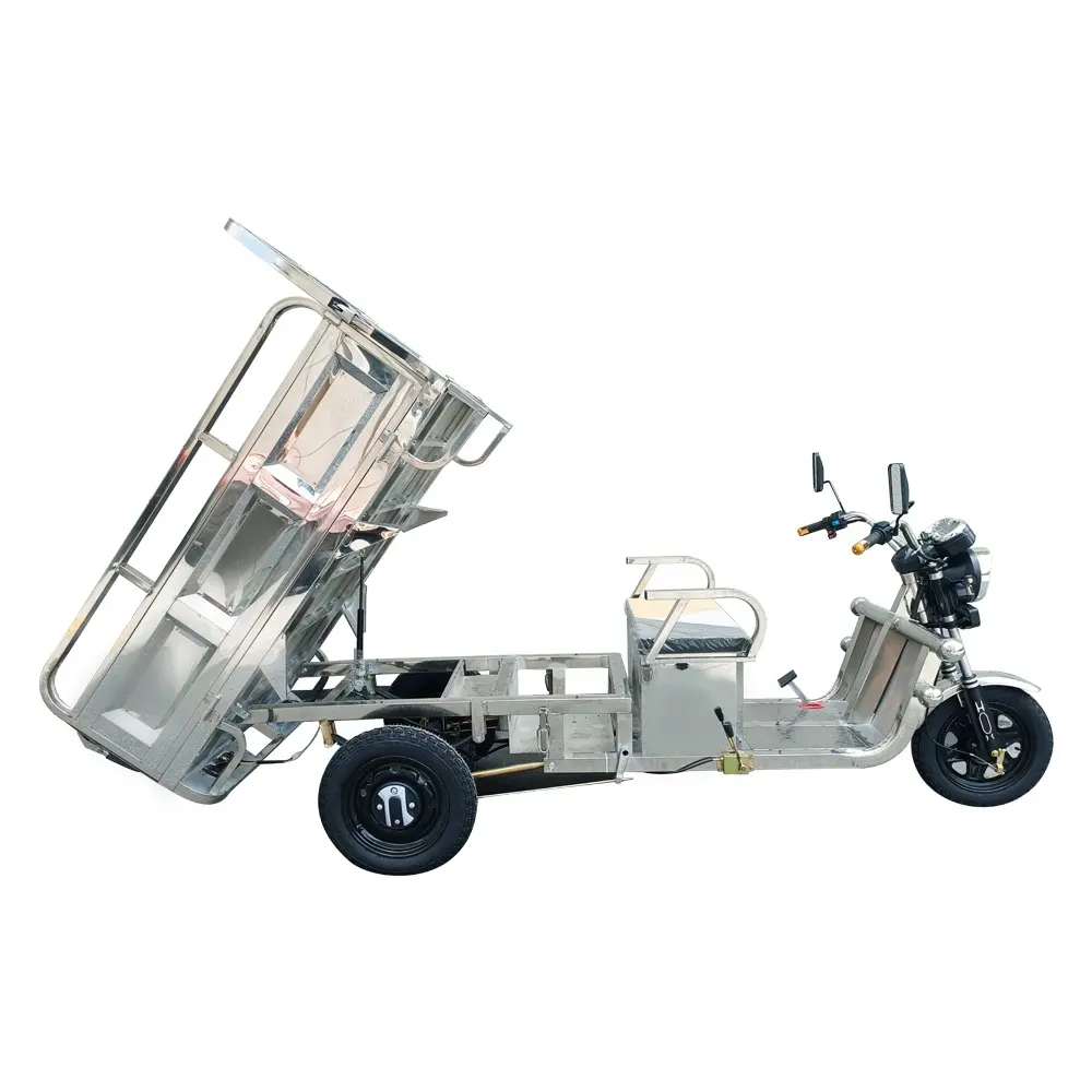 Tricycle cargo électrique en acier inoxydable, moto à 3 roues, utilisé pour la vente, Tricycle électrique tout-terrain pour adultes