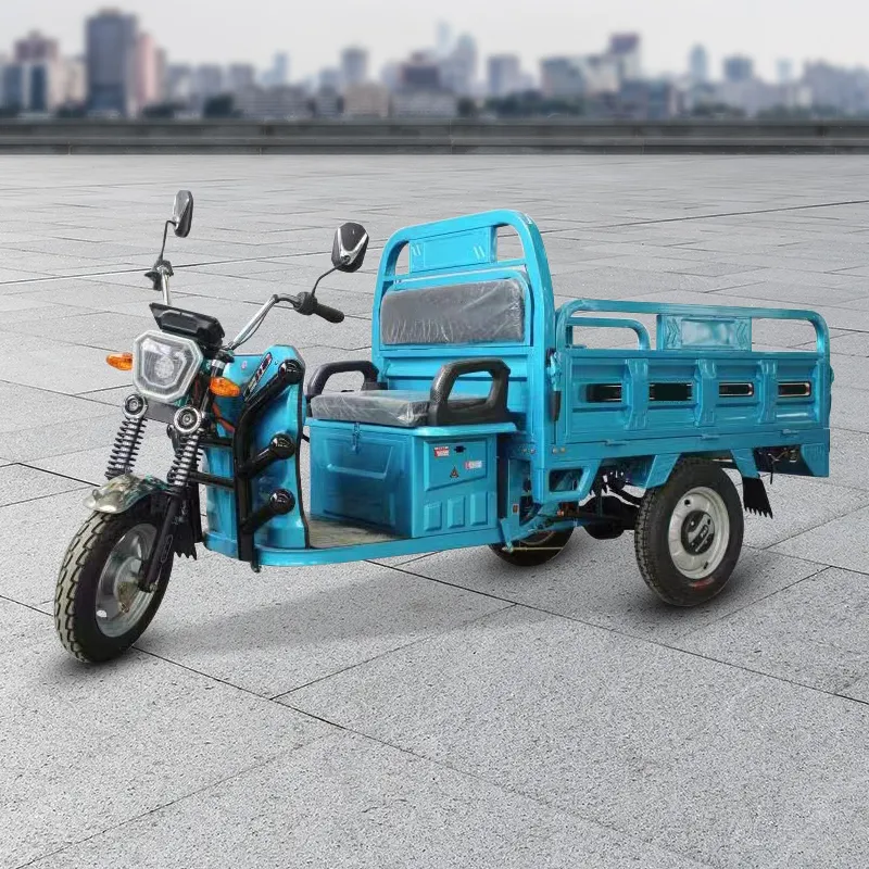 मोबिलिटी इलेक्ट्रिक वाहन ट्राइसाइकिल तीन पहियों वाली इलेक्ट्रिक मोटरसाइकिल कार्गो मिनी डम्पर इलेक्ट्रिक लोडर डिफरेंशियल मोटर 1.5