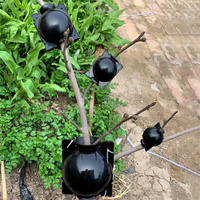 Boules de propagation en couches d'air réutilisables de 8 cm, boule d'enracinement des plantes, greffe de racines, boîte de culture