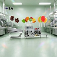 Ligne de production industrielle de sucettes plates avec corps en acier inoxydable, certification CE et service de moulage sur mesure