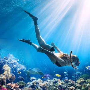 Ensemble de masques de plongée anti-buée à double lentille étanche pour adultes avec verre trempé - Product Image 6