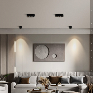 <span class=keywords><strong>Spot</strong></span> <span class=keywords><strong>LED</strong></span> COB apparent en fer avec température de couleur 3000K-6000K pour l'éclairage de plafond des halls d'entrée, balcons, couloirs et couloirs intérieurs - Product Image 3