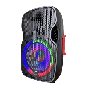 Enceinte active + passive HYANKE EX-10A 10 pouces, 100W RMS, avec USB et radio <span class=keywords><strong>FM</strong></span> - Product Image 4