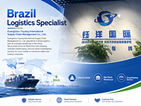 Entreprise de transport de fret professionnel Chine-Brésil, agent maritime DDP, livraison directe, conteneur maritime sec 40/45HQ