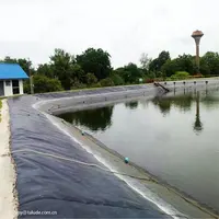 HDPE防水スイミングプール養魚池ライナージオメンブレン
