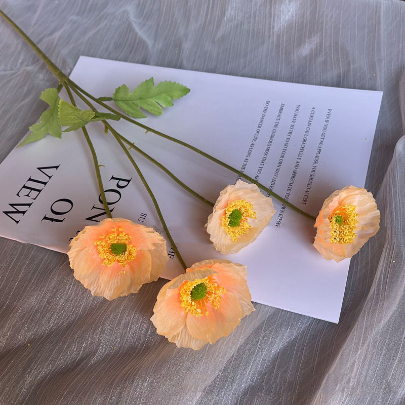 Nouveau 4 têtes 2 #