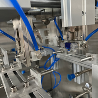 Automatische Koffiebonen Fruit Snoep Vulmachine Stand-Up Zakje Voorgemaakte Zak Granule Verpakkingsmachine
