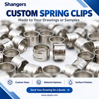 Custom Stainless Steel Circlip Retaining Ring Spring Clip for Automotive Split Bushing Fastener