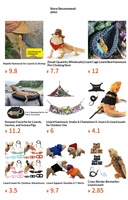 Kit d'accessoires 3-en-1 pour petits reptiles, mini skateboard, sac à dos et chapeau pour déguisement de papillon, hamster, lézard