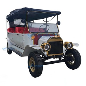 Voiture électrique vintage populaire fabriquée sur mesure, couleur personnalisée, transport spécial artisanal - Product Image 5