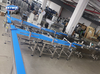 Ligne de machine à emballer Skywin à une ou deux couches pour alimentation de biscuits et servomoteur personnalisée