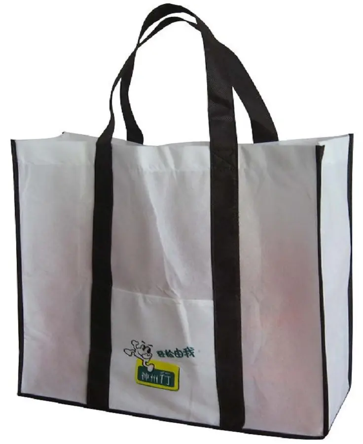 Customized Full Color Laminated PP Non Woven Bag Heavy Duty Laminated Polypropylene Print Tote Bag with Strong Handle