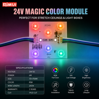 Module LED flexible intelligent CE RoHS à longue durée de vie, 24V 6W RGB haute puissance, bloc LED en chaîne pour éclairage décoratif extérieur