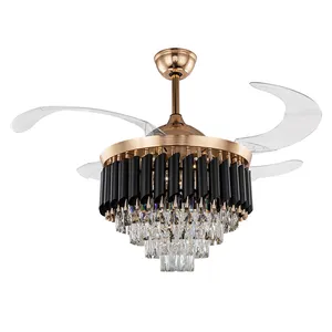 Hot sale promotion AC DC ceiling fan furniture with lamp black ceiling fan