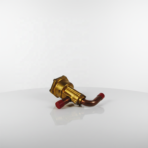 Válvula de Expansión Carrier 32GB401044 que Garantiza el Rendimiento de Refrigeración del <span class=keywords><strong>Aire</strong></span> <span class=keywords><strong>Acondicionado</strong></span> Material de Acero Inoxidable. Accesorio para Enfriador - Product Image 1