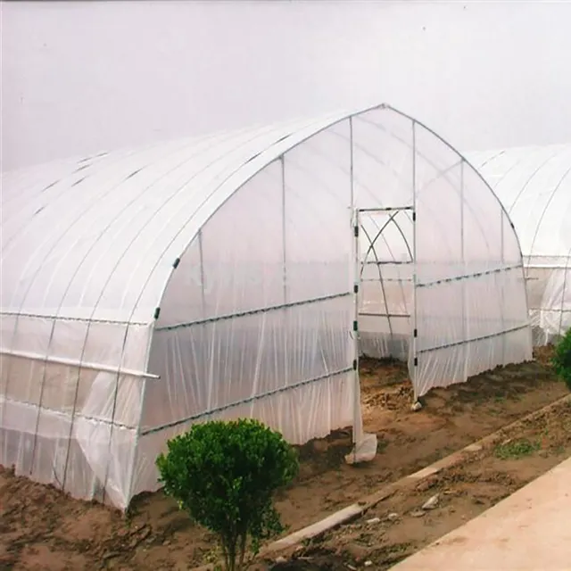 Film Plastik Terowongan Tinggi Rumah Kaca Poli untuk Rumah Kaca Pertanian Sayuran