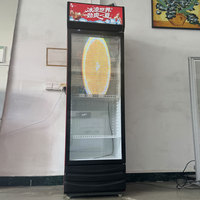 Écran de film LED transparent-un affichage LED flexible et transparent pour les portes de réfrigérateur de centre commercial résistantes au gel.